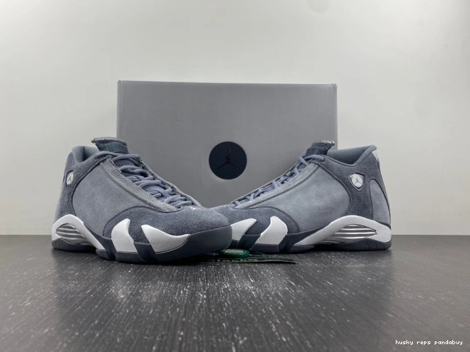 Rep Husky Jordan Flint Grey Air FJ3460-012 14 0720